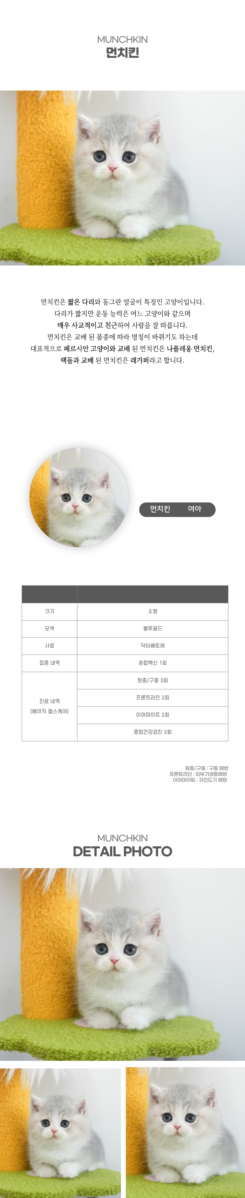 먼치킨_상세이미지_2